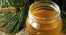 Greece Pine Ivy Honey